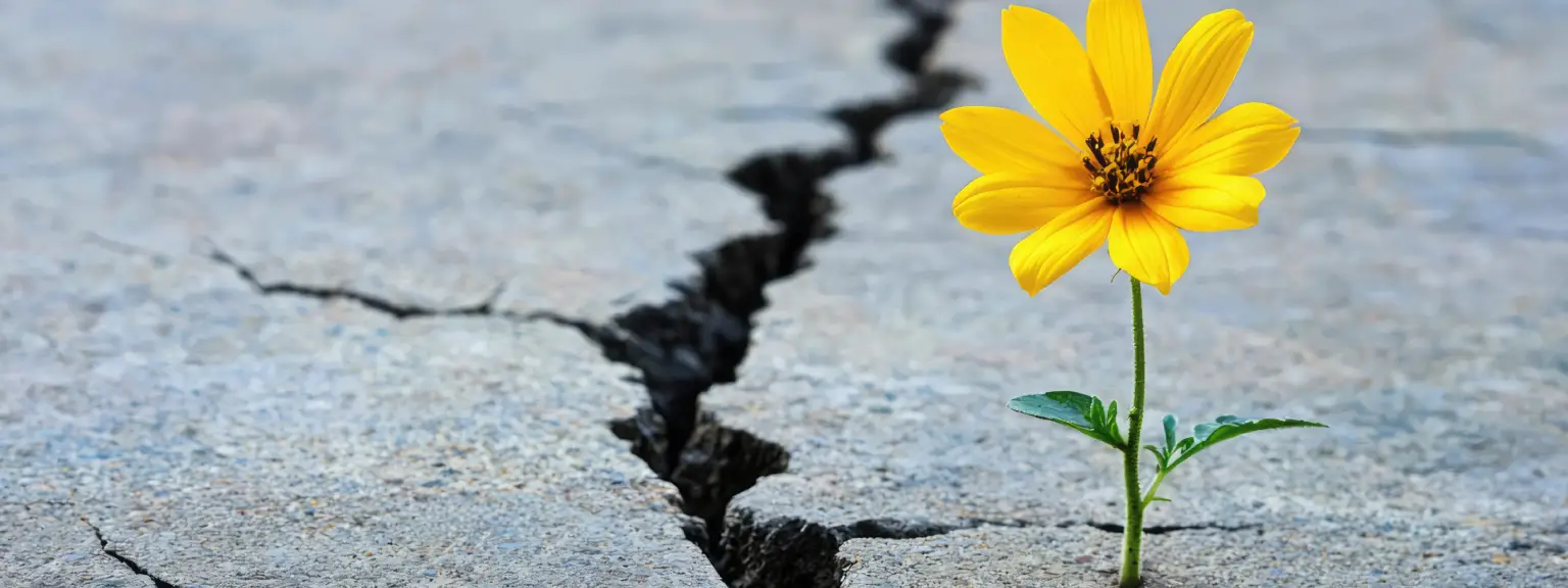 Resilienza in sanità: guida pratica per costruire la forza mentale, affrontare le emergenze e prosperare in corsia